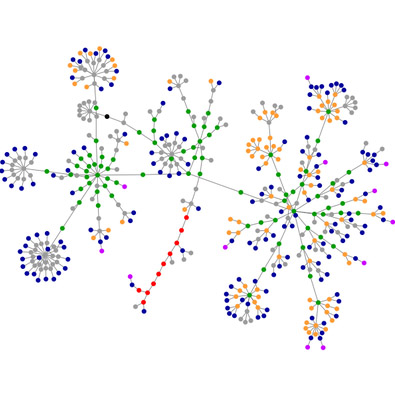 Blog-Network